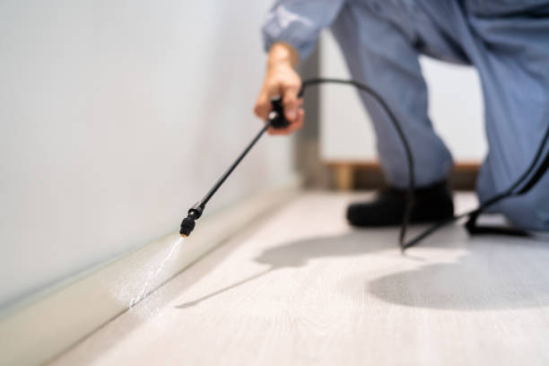 Licensed Cockroach Control service in Lucedale, MS - Nex Pest Control