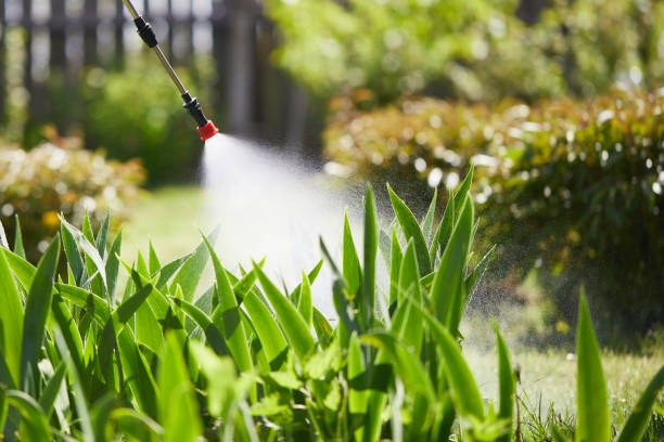 24/7 Emergency Cockroach Control experts in Lucedale, MS