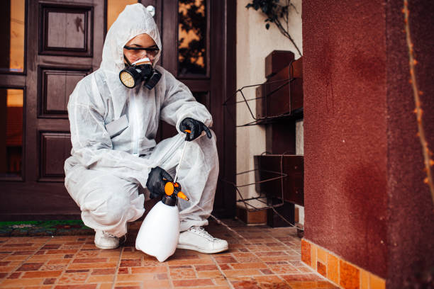 Reliable Cockroach Control contractor in Lucedale, MS by Nex Pest Control