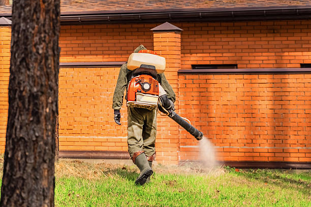 Top rated local Cockroach Control specialists in Lucedale, MS